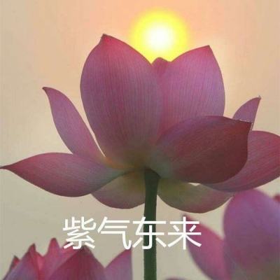 全民攻沙官方版下载